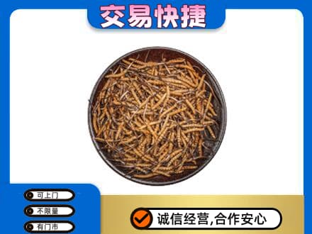 阿勒泰青河县回收散虫草